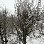 Eifel