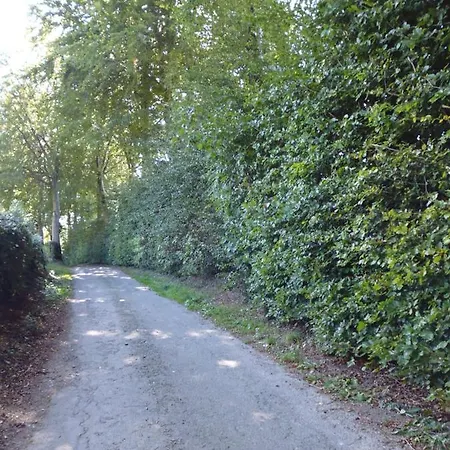 Eifel *