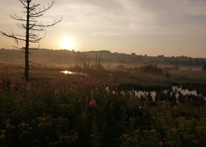 Eifel Διαμέρισμα Butgenbach