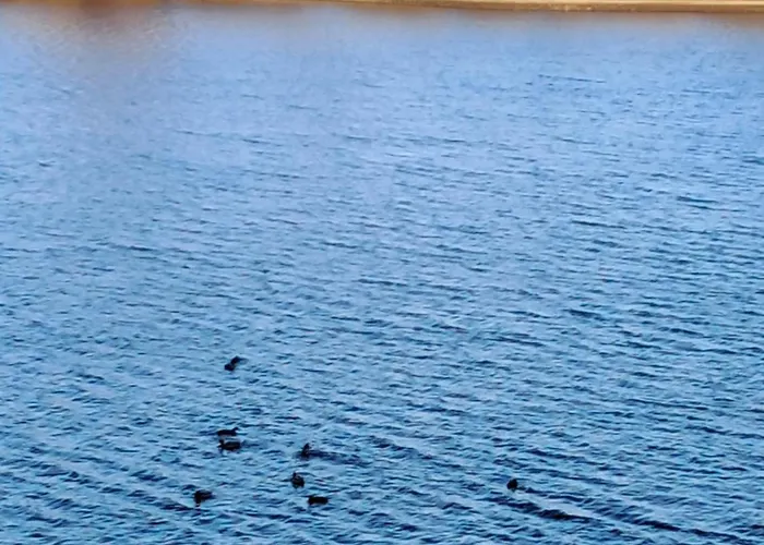 Eifel Διαμέρισμα Butgenbach