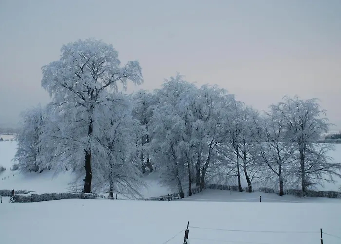 Eifel בוטגנבאך