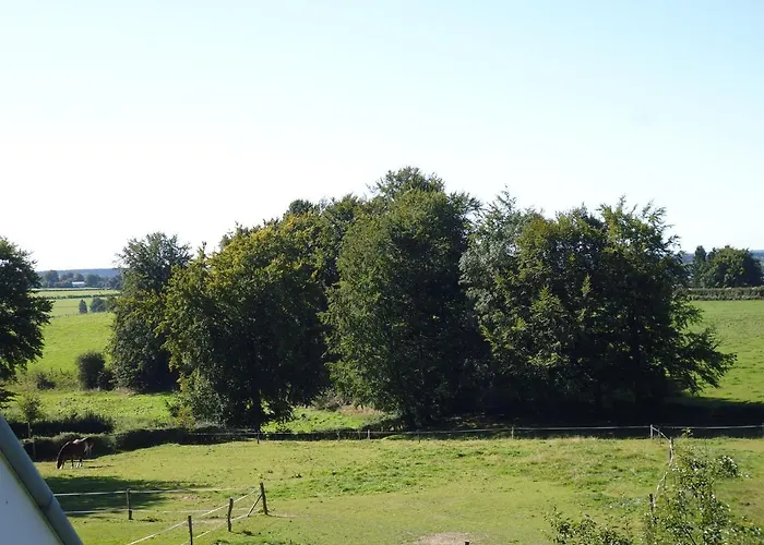 Διαμέρισμα Eifel *